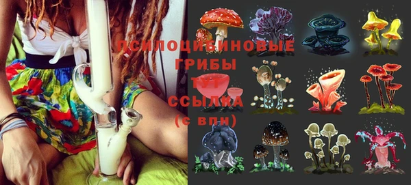 прущий лед Строитель